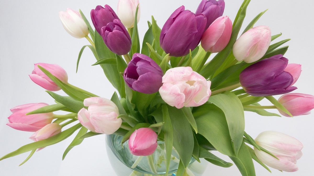 Bunte Tulpen in einer vase.