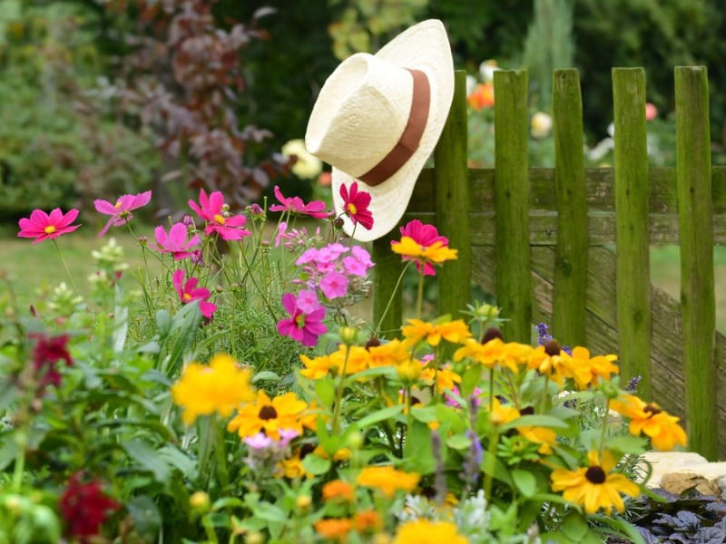 „Cottage Garden“: So legst du einen Bauerngarten an