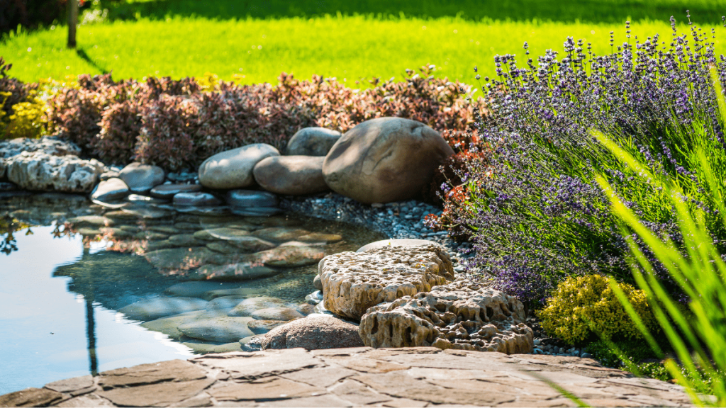 In nur 5 Schritten einen eigenen Teich im Garten anlegen