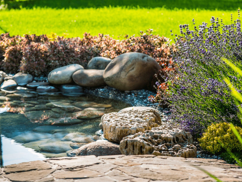 5 Tipps, um einen Teich im Garten anzulegen