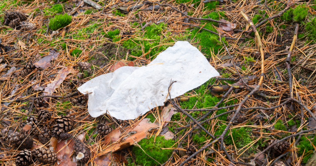 Taschentuch im Wald