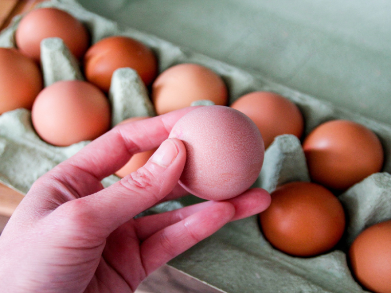 Warum es bald keine braunen Eier mehr im Supermarkt geben wird