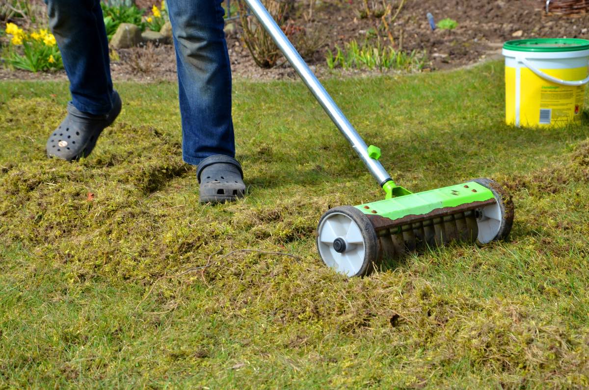 Garten Rasen richtig vertikutieren und lüften Genialetricks