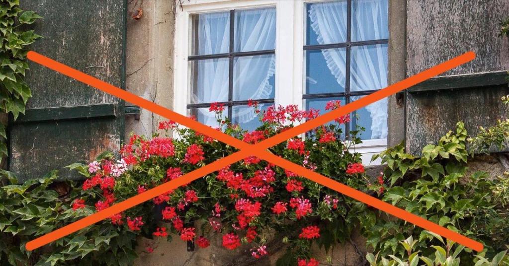 Geranien wachsen auf einem Balkon, das Foto ist mit einem roten Kreuz durchgestrichen.