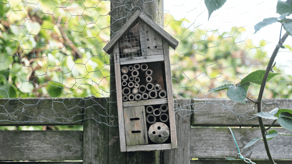 Warum ein Insektenhotel im Garten nicht immer eine gute Idee ist