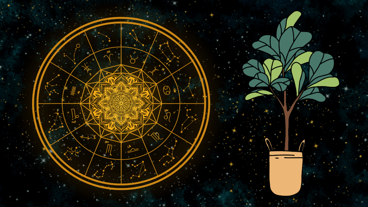 Eine Abbildung der Tierkreiszeichen vor einem dunklen Sternenhimmel. Daneben die Abbildung einer Topfpflanze.