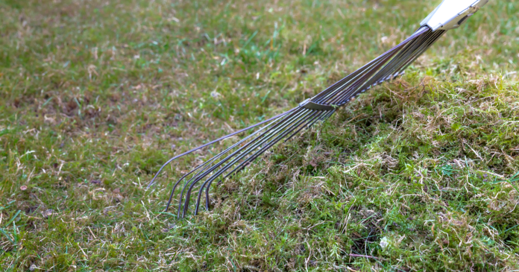 Rechen auf Rasen Nahaufnahme