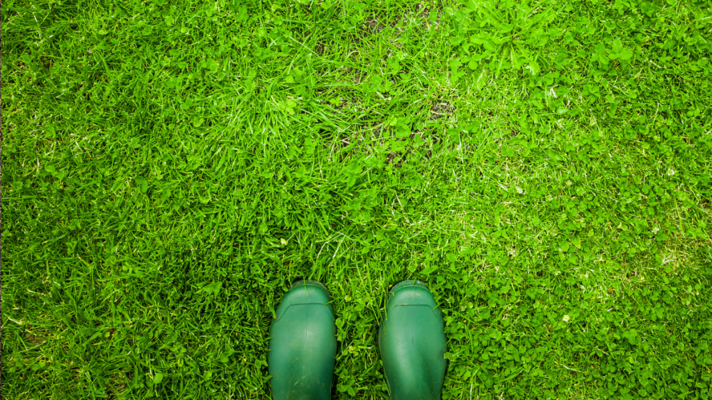 Eine Person steht auf einem grünen Rasen.