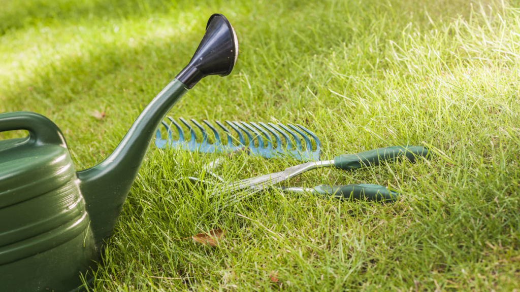7 Dinge müssen bei der Rasenpflege im April erledigt werden