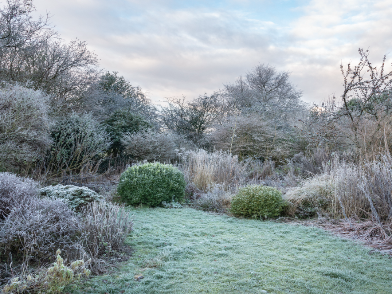 Garten mit Frost