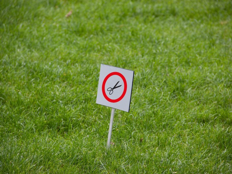 Ein Hinweisschild in einem Rasen, das anzeigt, dass Rasenmähen verboten ist.