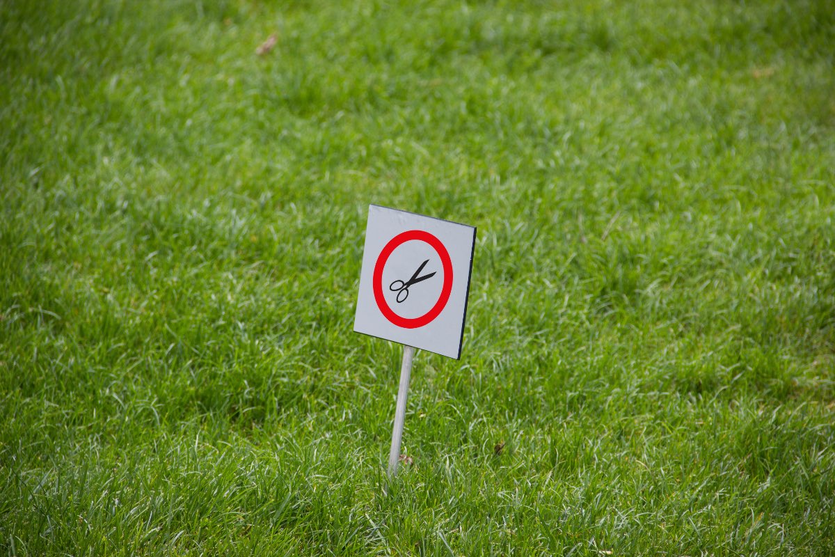 Ein Hinweisschild in einem Rasen, das anzeigt, dass Rasenmähen verboten ist.