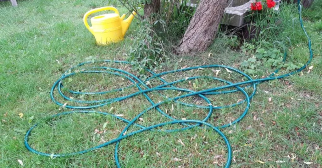 in einem Garten liegt ein Gartenschlauch auf dem Rasen