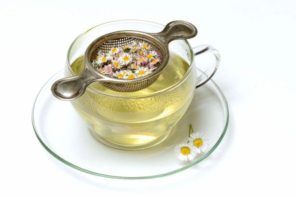 Ein Gänseblümchen-Tee.