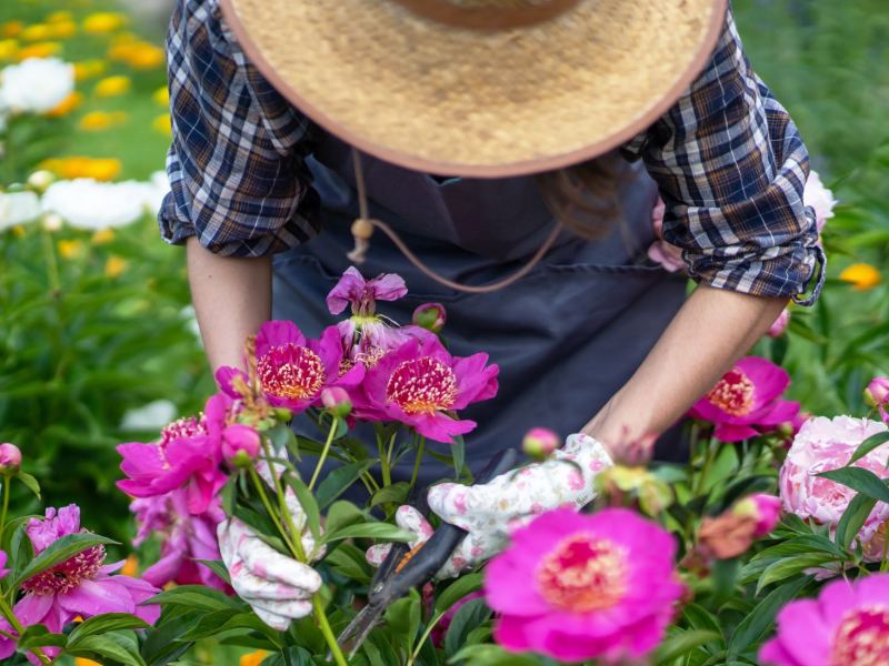 Eine Frau mit Strohhut bei der Gartenarbeit in einem Blumenbeet.