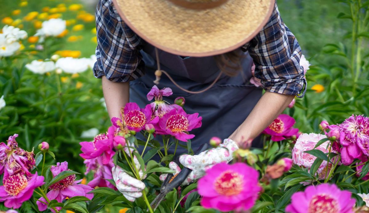 Eine Frau mit Strohhut bei der Gartenarbeit in einem Blumenbeet.