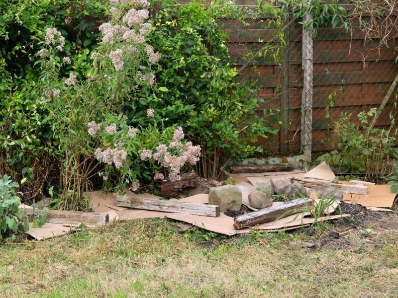 Pappe wird als Hausmittel gegen Unkraut in einem Garten verwendet.