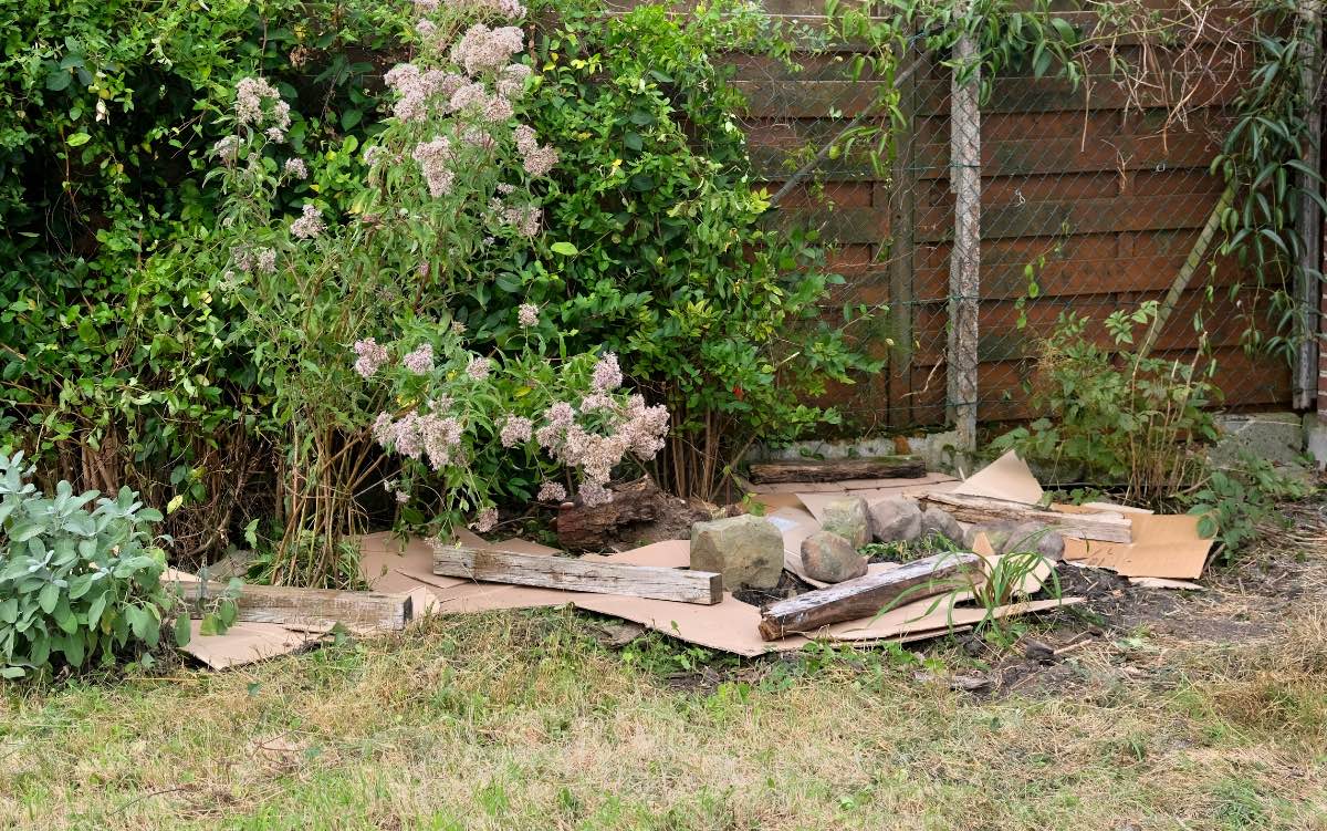 Pappe wird als Hausmittel gegen Unkraut in einem Garten verwendet.
