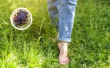 Eine Hyalomma-Zecke im Gras pirscht sich an eine barfüßige Frau an.