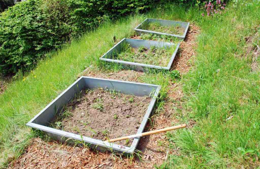 Opferbeet Ein Opferbeet in einem Garten zur Abwehr von Schnecken.