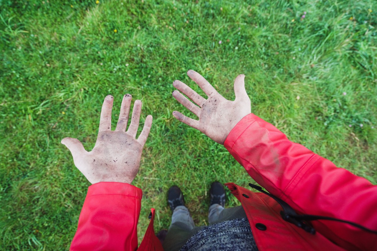Foto von dreckigen Händen nach Gartenarbeit vor einem Rasen.