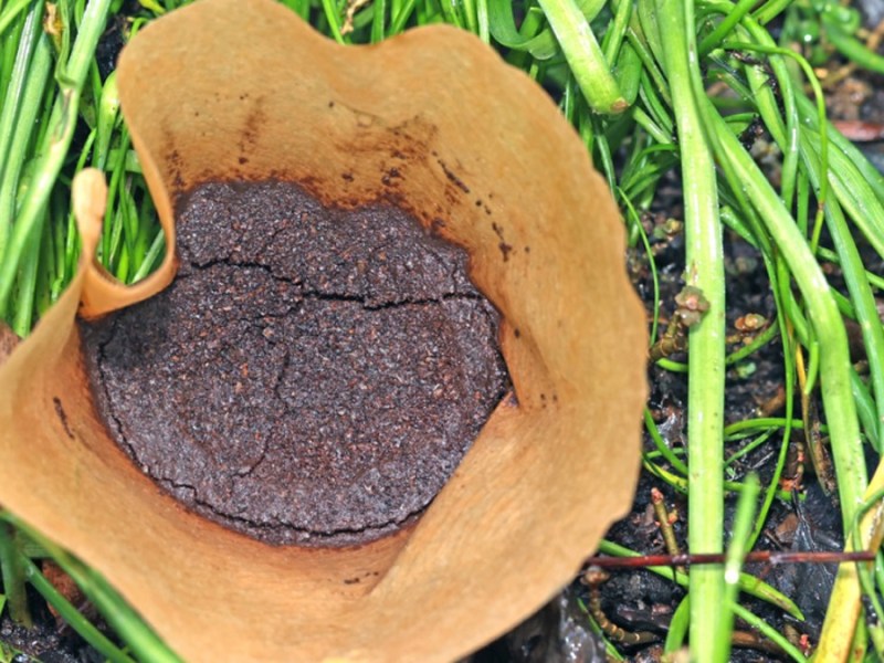 Kaffeesatz in einer Filtertüte im Garten.