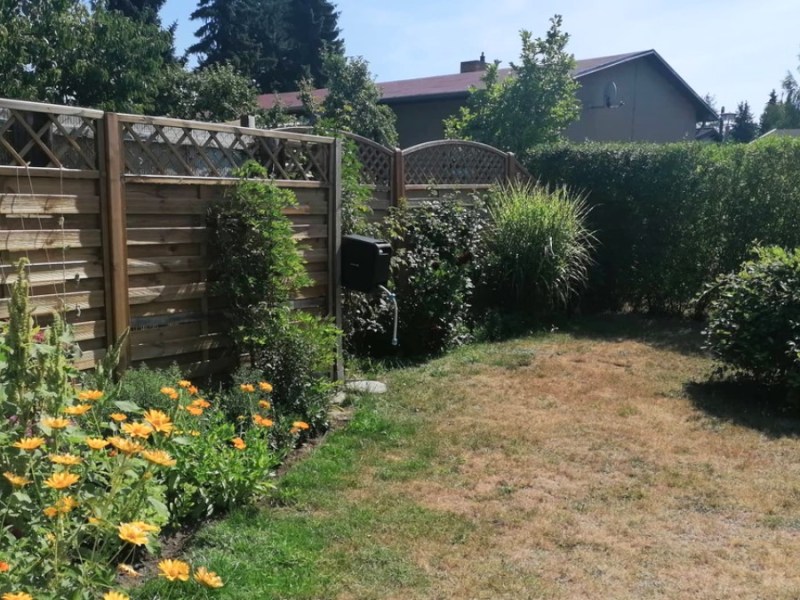 Garten: Rasen vertrocknet? Darum darfst du ihn jetzt nicht wässern