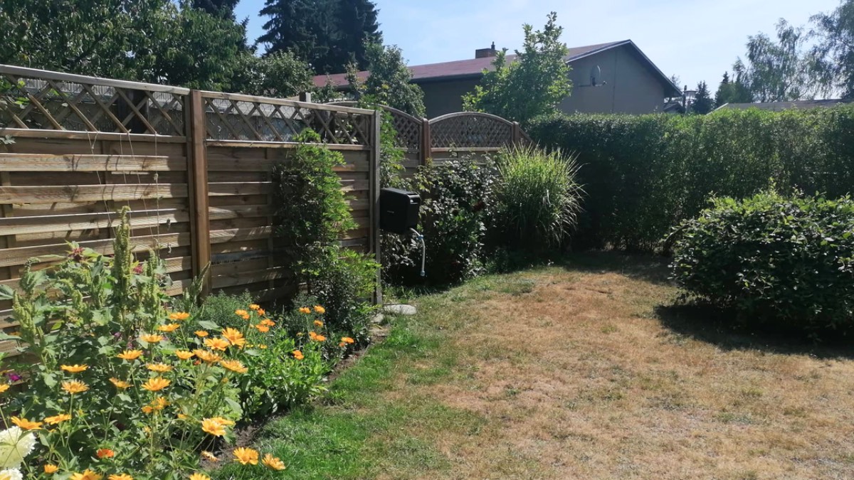 Ein verbrannter Rasen in einem kleinen Garten.