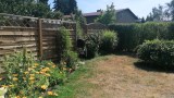 Ein verbrannter Rasen in einem kleinen Garten.