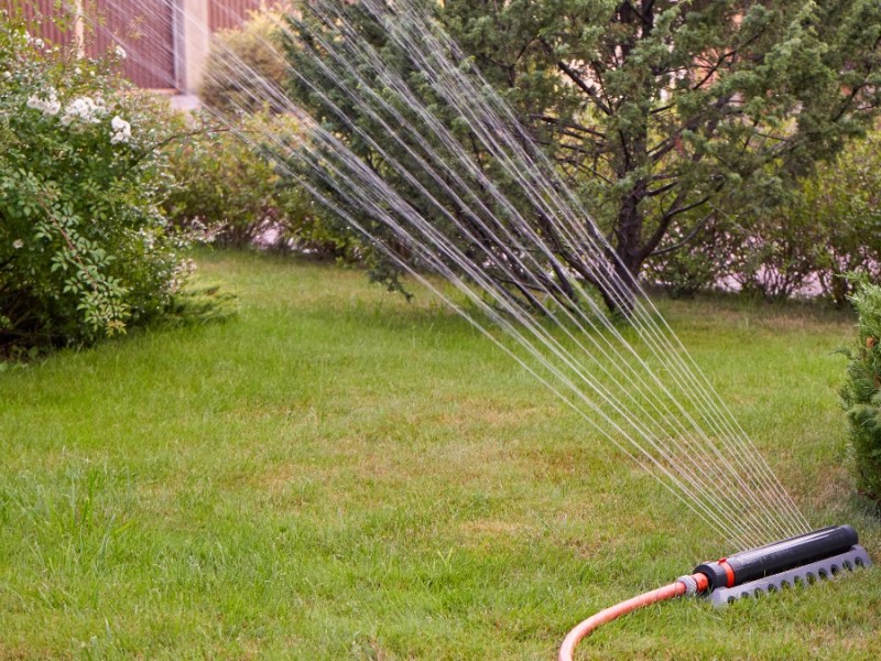 Mit diesen Tipps wird dein Rasen zum grünen Blickfang in deinem Garten