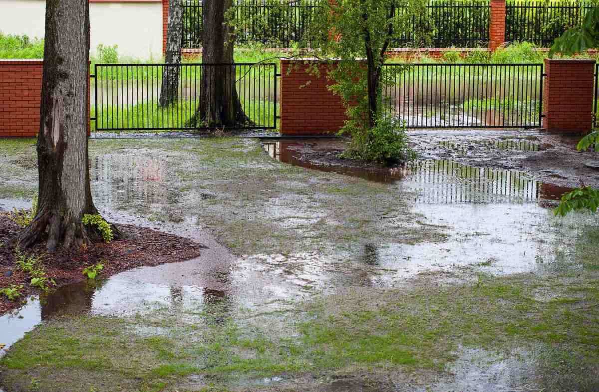 Ein überfluteter Garten nach Starkregen.