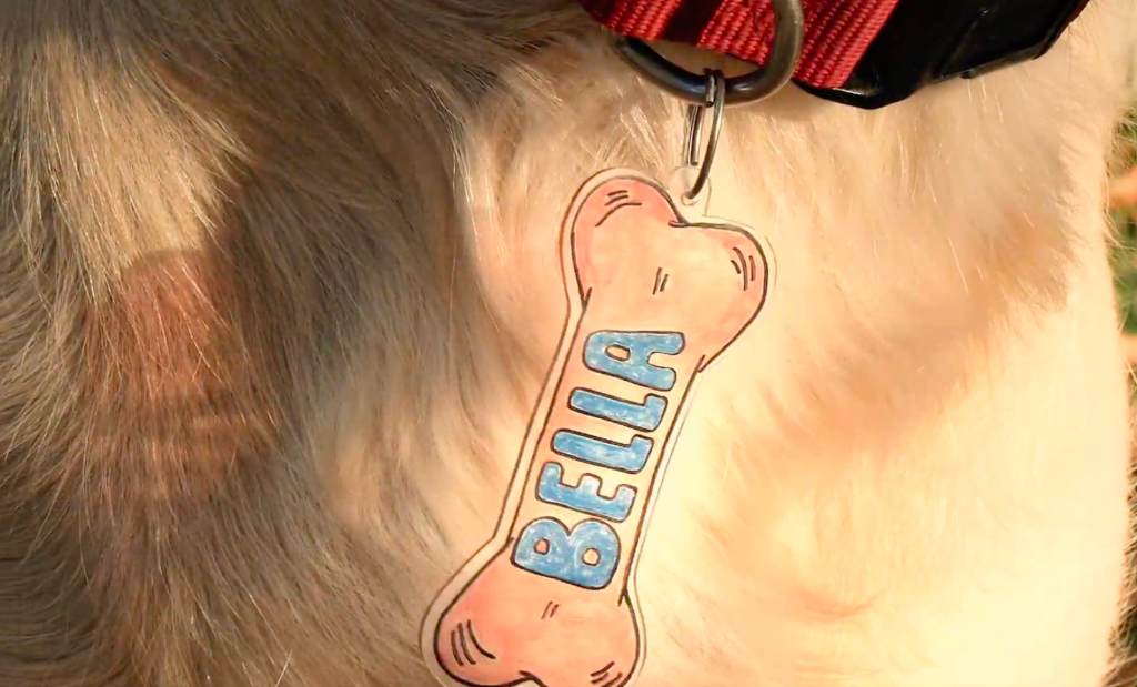Ein Hundehalsband aus Schrumpffolie mit Anhänger.