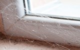 Ein Spinnennetz vor einem Fenster, Nahaufnahme.