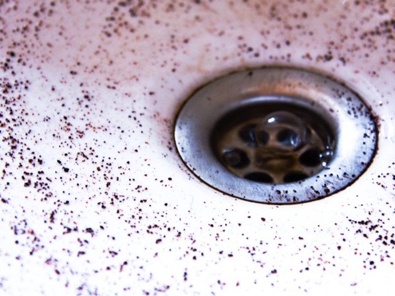 in einem Waschbecken ist Kaffeesatz