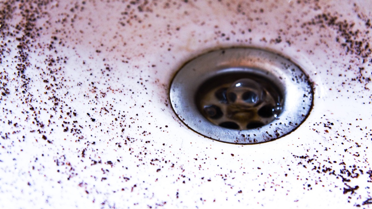 in einem Waschbecken ist Kaffeesatz