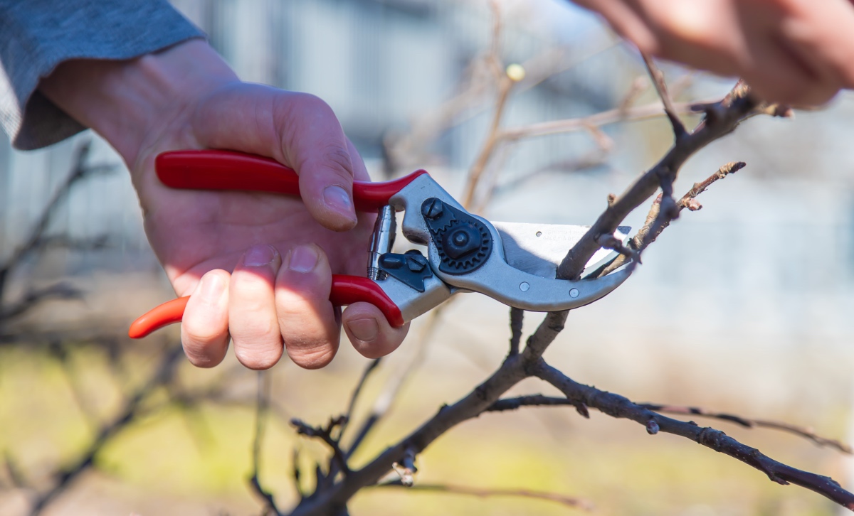 Gartenarbeit im Februar Das braucht der Garten jetzt Genialetricks