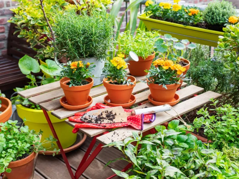 Ein Balkon mit Blumen.