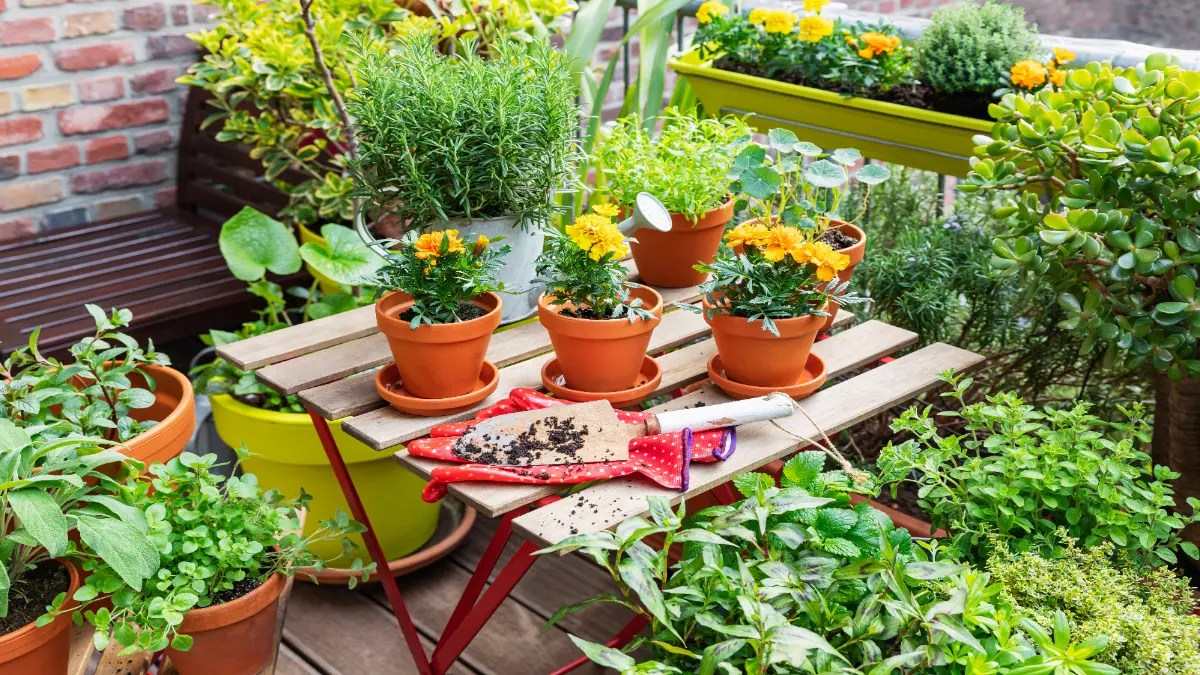 Ein Balkon mit Blumen.