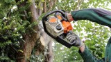 Baumfällarbeiten: Nahaufnahme eines Arbeiters mit Kettensäge