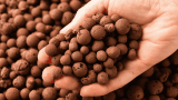 Blähton leca balls