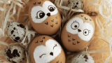 Eier mit Gesicht bemalen, lustige Tiergesichter auf Hühnereiern