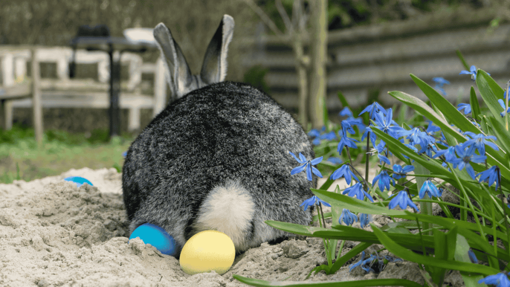 Osterhase legt Ostereier