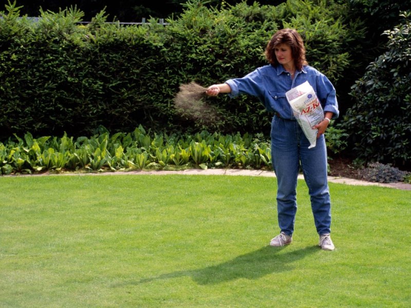 Eine Frau beim Rasen kalken in einem Garten.