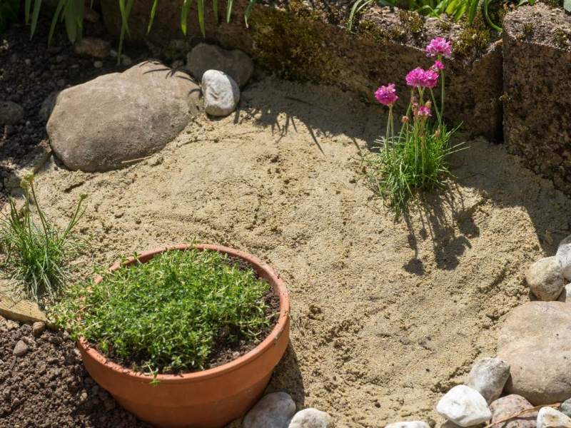 Ein Bild von einem Sandarium in einem Garten.