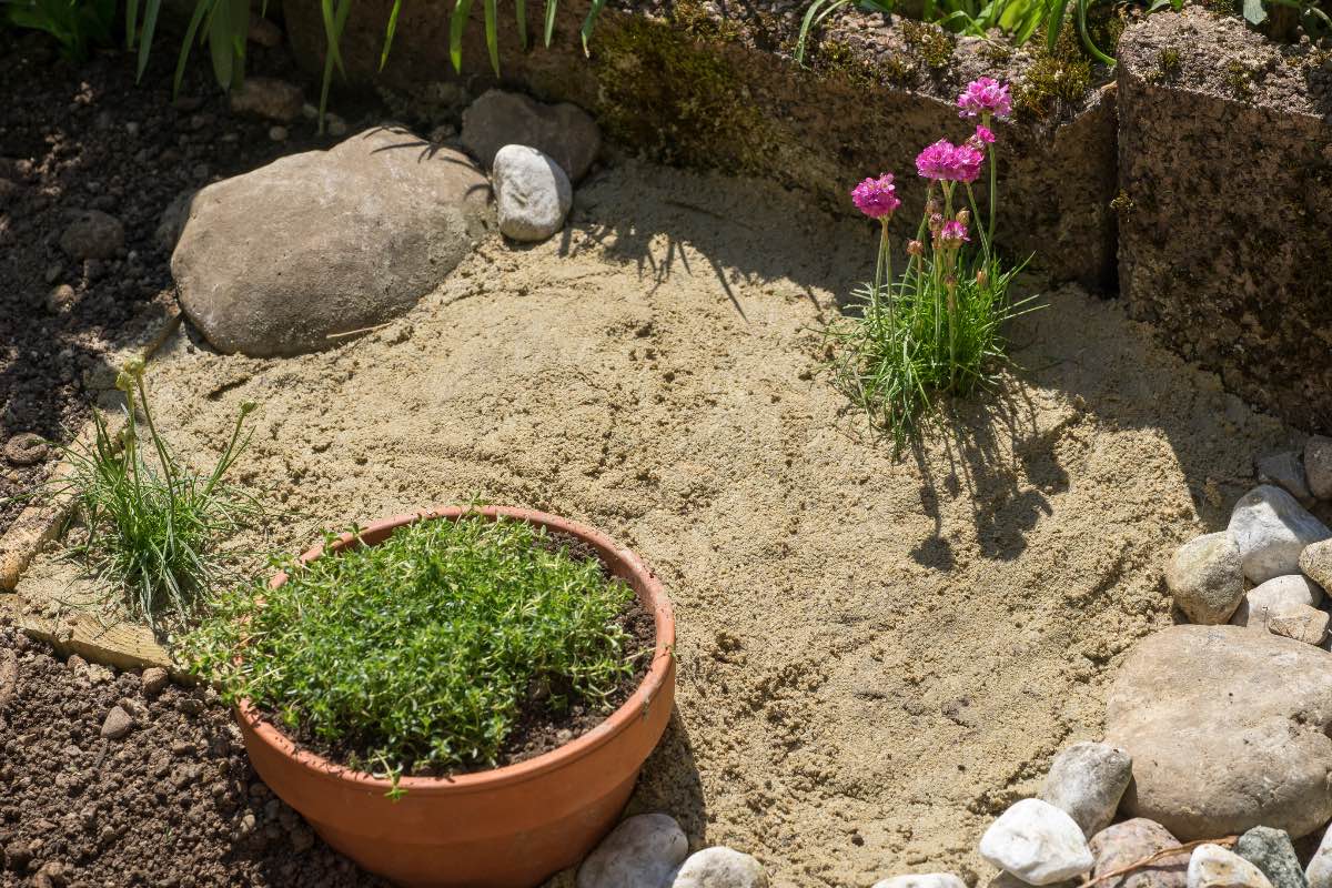 Ein Bild von einem Sandarium in einem Garten.