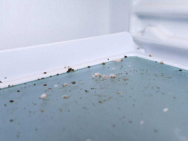 Schimmel im Kühlschrank
