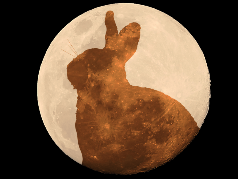 Wann ist Ostern? Hase vor einem Vollmond