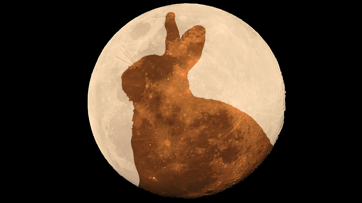 Wann ist Ostern? Hase vor einem Vollmond
