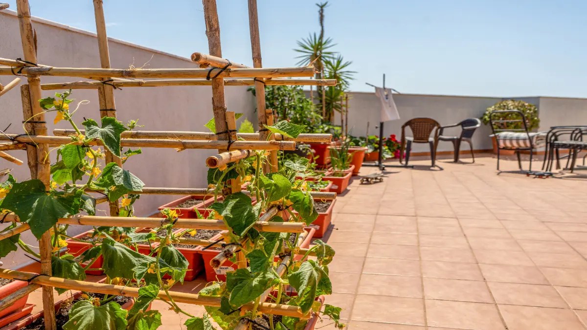 Ein Balkon in einem mediterranem Stil.