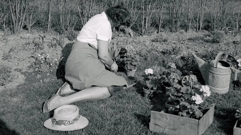 Bepflanzung der Beete